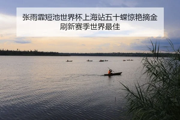 张雨霏短池世界杯上海站五十蝶惊艳摘金 刷新赛季世界最佳